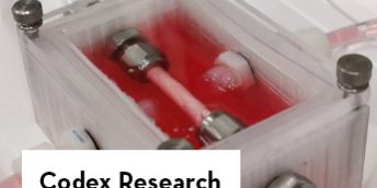 Impact_Codex_345x259